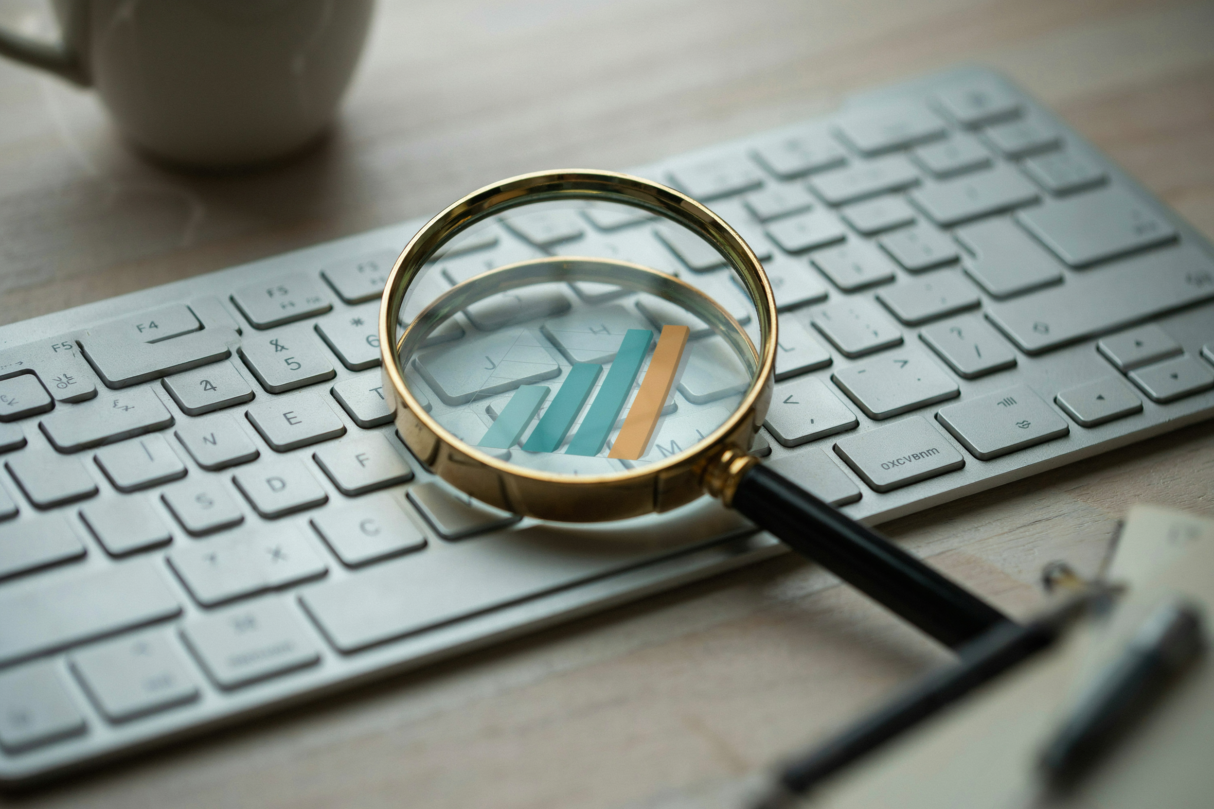 Web and SEO: The Proven Guide to Online Success